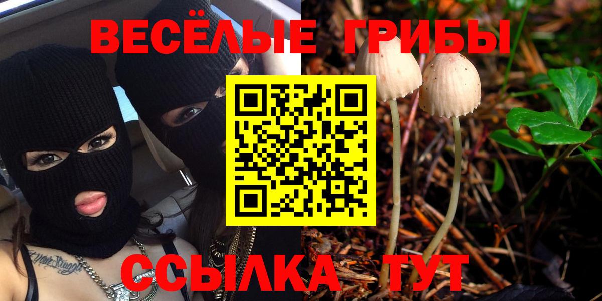 Галлюциногенные грибы ЛСД Гусиноозёрск