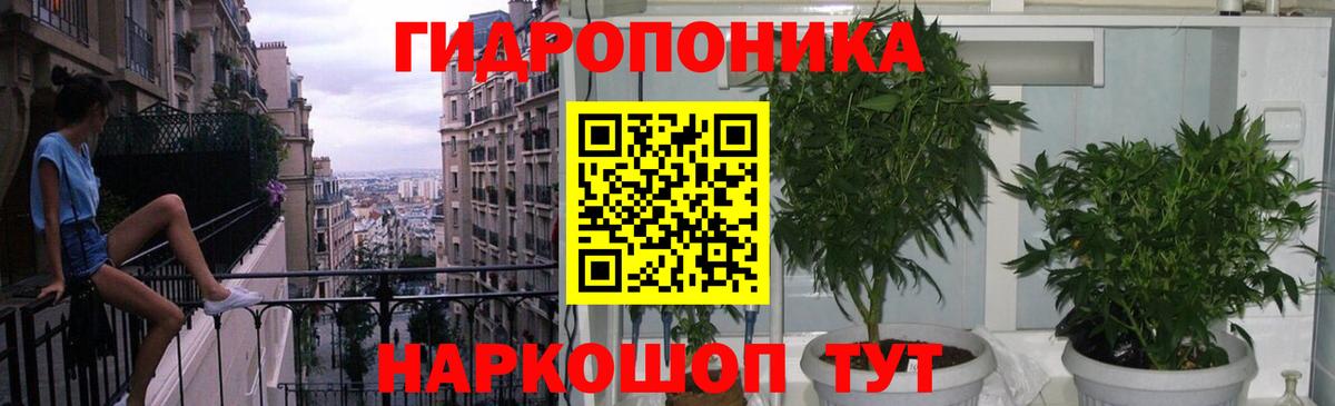 Бошки марихуана VHQ Гусиноозёрск